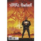DOCTOR STRANGE PUNISHER MAGIC BULLETS #1 (OF 4) MALEEV VAR