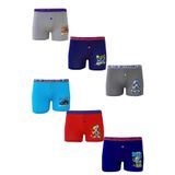 Dode Flora Tutku 0253 Erkek Çocuk Karışık Desenli Ekonomik 6 Lı Paçalı Boxer