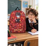 Dodomar Harry Potter Ilkokul Okul Çantası Sırt Çantası 42X30X14 cm