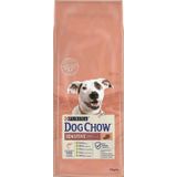 Dog Chow Somonlu Pirinç Yetişkin 14 kg Köpek Maması