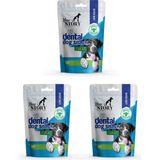 Dog Dental 3 x 80 gr Ağız Kokusu, Diş Sağlığı, Dental Anti Tartar - 3 Adet - Çok Renkli