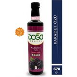 Doğa Deposu Karadut Özü 670 gr