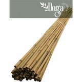 Doğa Fidancılık 20 Adet Bambu Bitki Fidan Destek Çubuğu 1 Metre - 1 Adet