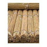 DOĞA FİDANCILIK 50 Adet Bambu Bitki Fidan Destek Çubuğu 190 - 200 Cm