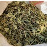 Doğa Nimeti Aslan Pençesi 200 gr Organik ( Testere Dişli, Yeni Mahsül, Doğal Kurutulmuş )