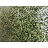 Doğa Nimeti Limon Melisa 100 grr ( Doğal Kurutulmuş Yeni Mahsül Taze Ürün )