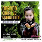 Doğada Dikkat ve Odaklanma Eğitimci Etkinlik Kitabı Leyla Arıbaş Stahlschmidt Ahmet Akay Azak