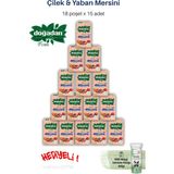 Doğadan 15 Paket Form Çilek & Yaban Mersini 18 Poşet ve Rosıe - Bitki Çayı