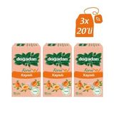 Doğadan 36 gr Form Kayısılı Çay (12 adet)