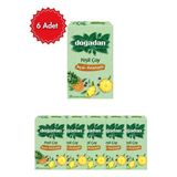 Doğadan Açai Ananas Poşet Çay x 6 Paket