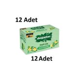 Doğadan Doğadan Bitki Çayı Yeşil Çay Nane Limon 20 Li - 12 Adet