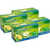 Doğadan Yeşil Çay Nane Limon 20 Li - 4 Lü