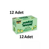 Doğadan Yeşil Çay Nane Limon Karışımı 12 Kutu