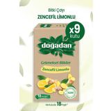 Doğadan Zencefil Limonlu Bitki Çayı 18'li x 9 Adet