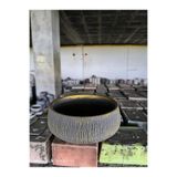 doğagarden Beton orkide bonsai ve aranjman saksısı