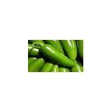 Doğal 20 Adet Early Jalapeno Erkenci Biber Tohumu