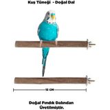 Doğal Ahşap Kuş Tüneği 15 Cm - Gerçek Fındık Dalı