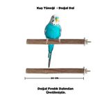 Doğal Ahşap Kuş Tüneği 20 Cm - Gerçek Fındık Dalı