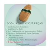 Doğal At Kılı Selülit/vücut Fırçası (Kese Hediyeli) - Option-1