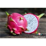 Doğal Beyaz Ejder Meyvesi (Pitaya) Tohumu (10 Tohum)