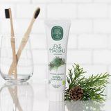 Doğal Çam Özlü Diş Macunu 90 Ml
