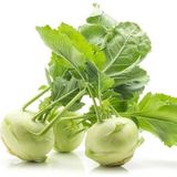 Doğal Geleneksel Yeşil Kohlrabi (Alabaş) Tohumu (20 Tohum)