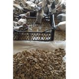 Doğal Güvercin Gübresi 3 kg