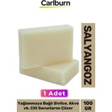 Doğal Güzel Kokulu El Yüz Saç Vücut Cilt Onaran Kolajen Etkili Salyangoz Bitkisel Sabun 1 Adet