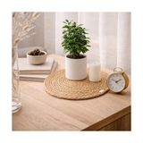 Doğal Hasır Suple 4’lü Set Yuvarlak Amerikan Servis, El Yapımı Hasır Placemats, Kaymaz Dayanıklı Masa Altlığı, Mutfak Yemek Masası Dekoratif Kullanım, Rustik Tasarım (Çap 30 Cm) - 0,5 x 9 cm - 001-Renkli