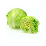 Dogal Iceberg Marul Tohumu (1 Gram)