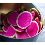 Doğal İçi Kırmızı Dışı Beyaz Sulu Watermelon Turp Fidesi (5 adet)