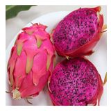 Doğal İçi Kırmızı Ejder Meyvesi(Pitaya) Tohumu 5 adet