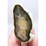 Doğal Kahverengi Dendritik Opal Merlinit Dilimi - Topraksı Kahve & Krem Cila Taşı, 87G