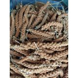Doğal Kızıl Dal Darı Kuş Yemi 1kg (min:10cm-max:20cm Uzunluk)