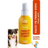 Doğal Köpek Parfümü Mango Ferahlığı, Organik Koku Giderici parfüm Sprey, Evcil Hayvanlar Kokusu Için