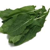 Doğal Kuzu Kulağı Tohumu(50 tohum)