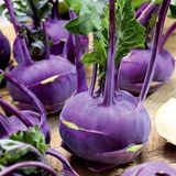 Doğal Mor Kohlrabi (Alabaş) Tohumu (15 Tohum)