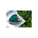 Doğal SPİRULİNA SÜPER GIDA KATKISIZ 100 GR