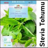 Doğal Stevia Şeker Otu Tohumu (40 tohum)