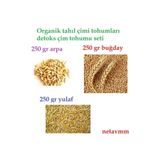 Doğal Tahıl Çimi Tohumları Arpa-buğday-yulaf Tohum Çimi Seti 250'şer Gram Toplam 750 Gram Tohum