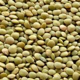 Dogal Yesil Mercimek Tohumu (20 Adet)