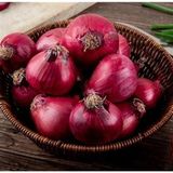 Doğal Yüksek Aromalı Ata 19 Kırmızı Çorum Tipi Soğan Tohumu (50 Tohum)