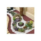 Doğalsan Tarım Beyaz Taş 3 Kg 1-2 Cm Beyaz Dolomit Taş Dere Taşı Çakıl Taşı Bahçe Süs Taşı Akvaryum Teraryum Taşı