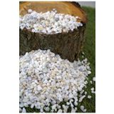 Doğalsan Tarım Dolomit Taş 2 Kg 0,5-1 Cm Beyaz Renk Dere Taşı Çakıl Taşı Bahçe Süs Taşı Akvaryum Teraryum Taş No.1M
