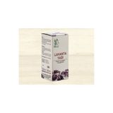 Doğan 20 cc Lavanta Yağı