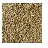 Doğan Akvaryum Kanarya Yemi Aspur Sade 5 kg