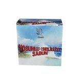 Doğan Baharat Yosun Sabunu