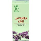 Doğan Baharatçılık 20 ml Lavanta Yağı