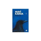 Doğan Kitap Mavi Karga + Peygamber Enok'un Kitabı: Erhan Altunay'ın Önsözüyle + Sarı Kahkaha + Fraulein Else + 13 Kitap Set - Hayır