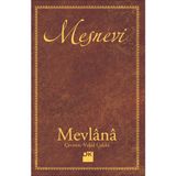 Doğan Kitap Mesnevi - Standart - Çok Renkli